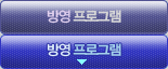 방영 프로그램