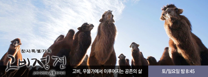 창사 특별 기획 고비정전