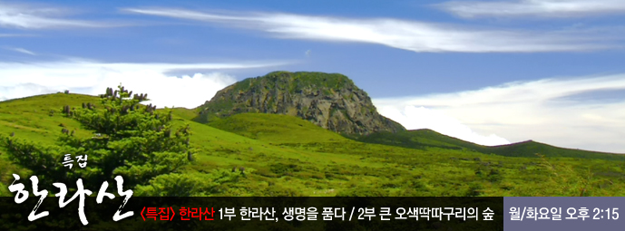 특집 한라산