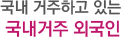 국내거주하고있는국내거주외국인